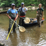 Electrofishing the Wissahickon