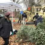 Mount Airy Neighbors recycle Christmas trees